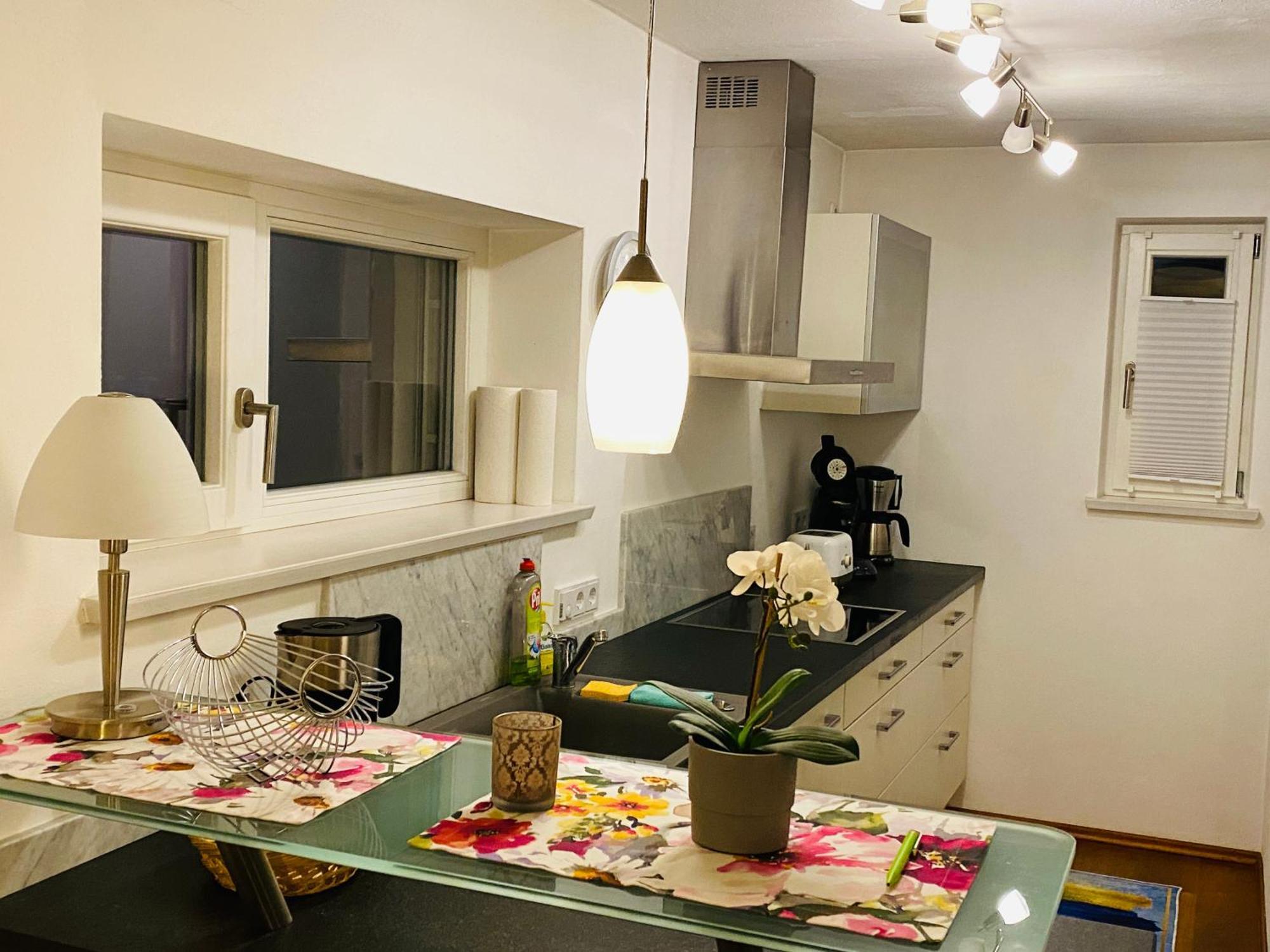 Fewo Luxus Wohnung Im Eigenen Ferienhaus, 120 Qm, Naehe Regensburg Mit Balkon, Terrasse & Garten, Gute Zuganbindung Laber Exterior foto
